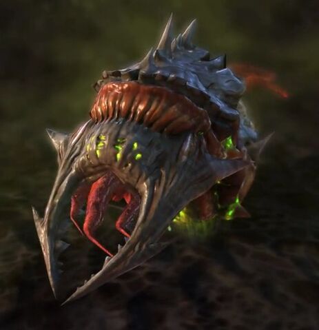 Archivo:Larva SC2 Head1.jpg