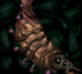 Larva SC1 Head1