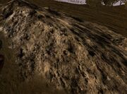 Natural-Stone