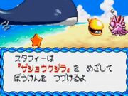 StafyMeetsWhale