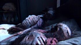 SG1-10x02-Squelettes sur un lit.jpg
