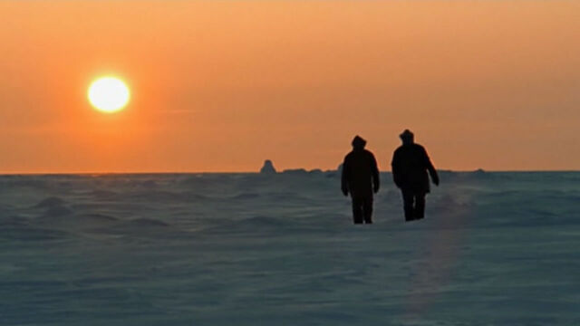 File:Arctic.jpg