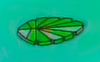 Jungle Crown Jewel