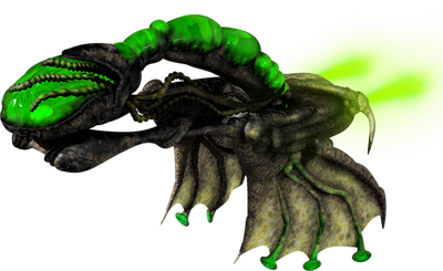 XenMacid
