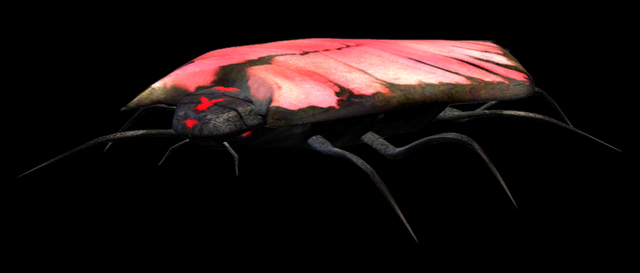 Archivo:Bicho Carro (FPS).png