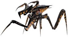 Aracnid.jpg
