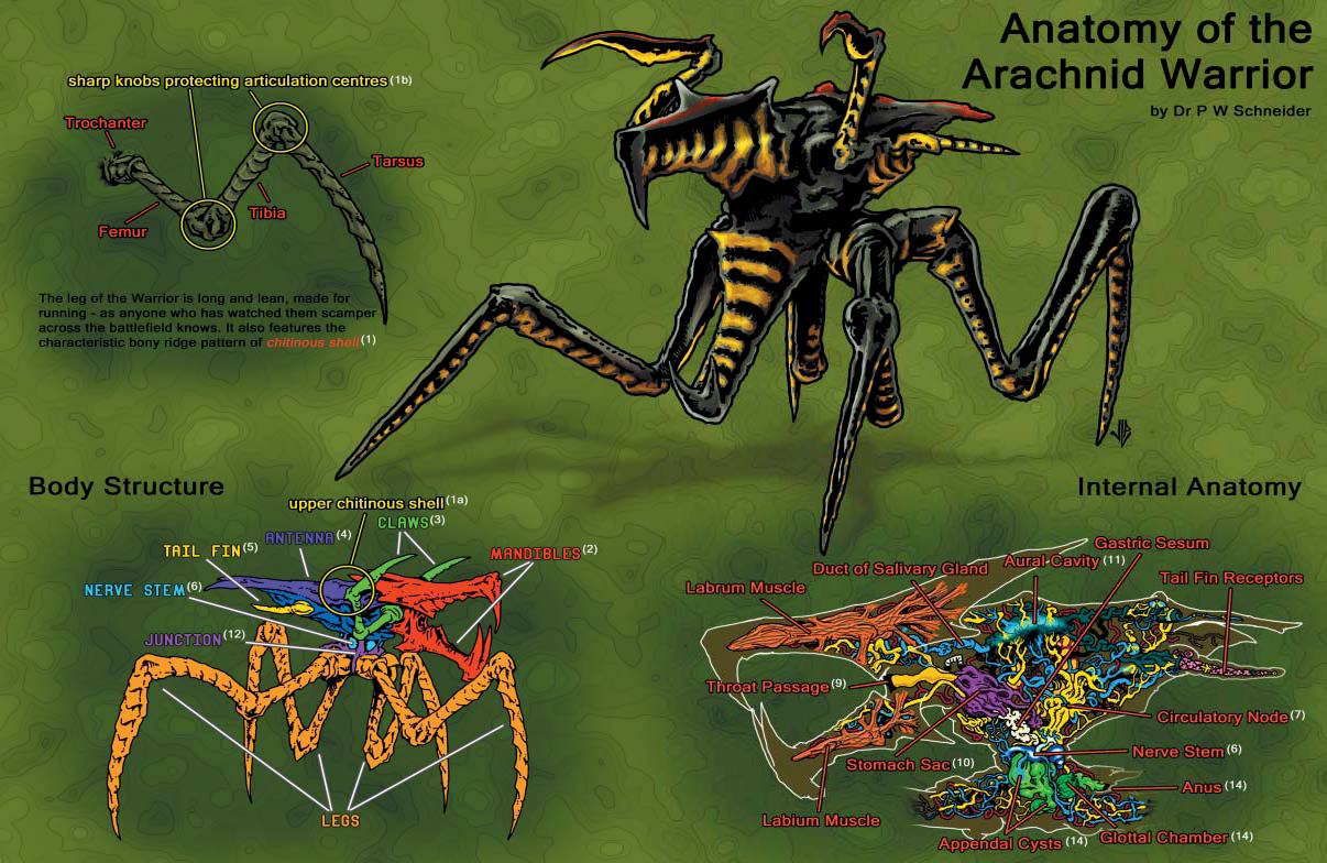 Warrior Bug  Starship troopers, Starship troopers bugs, Starship