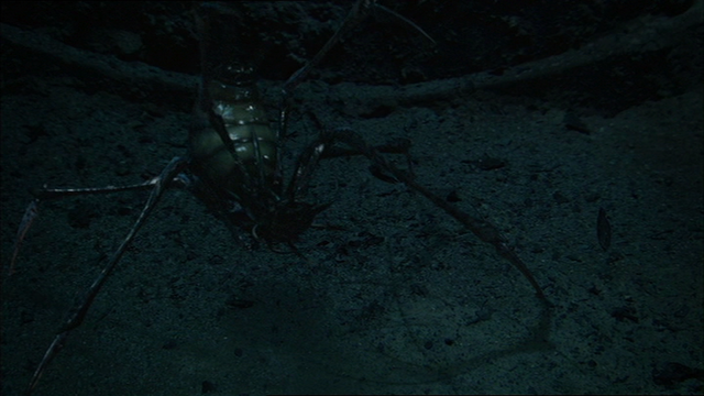File:Vlcsnap-72725.png