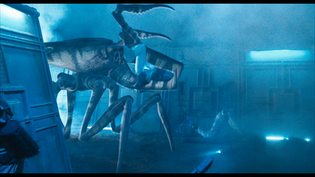 File:Vlcsnap-320679.png