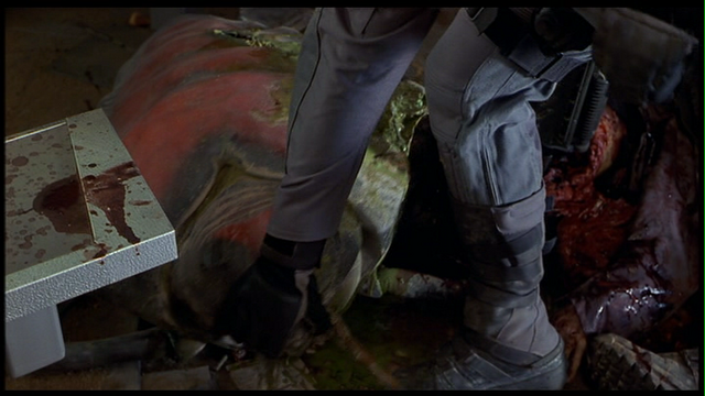 File:Vlcsnap-5913296.png