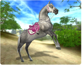 Starstable1.png