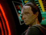 Damar 2372