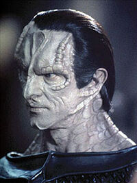 Guldukat.jpg