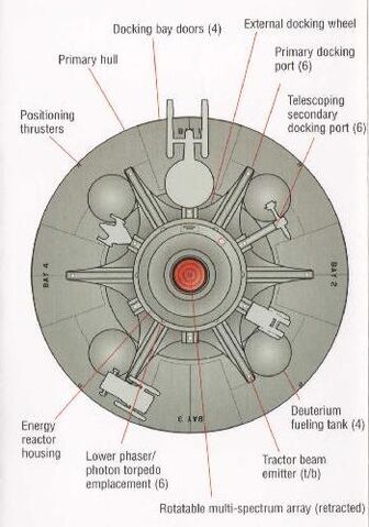 File:Vanguard ventral view.jpg