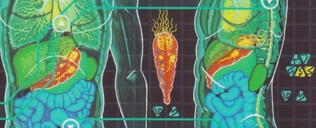 File:Joined Trill internal anatomy.jpg
