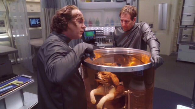 File:A Night in Sickbay.jpg