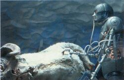 2-1B Surgical Droid Tauntaun.jpg