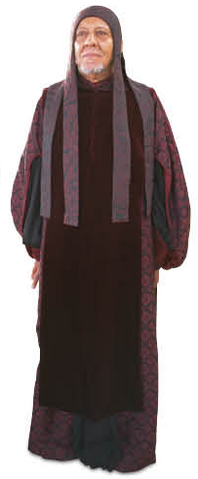 File:Pontifex Agolerga.png
