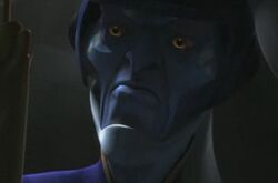 Chi Cho.jpg
