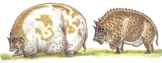 File:Grazers.jpg
