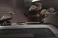 Tendau Senate.jpg