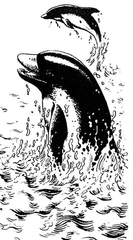 File:Duors.jpg