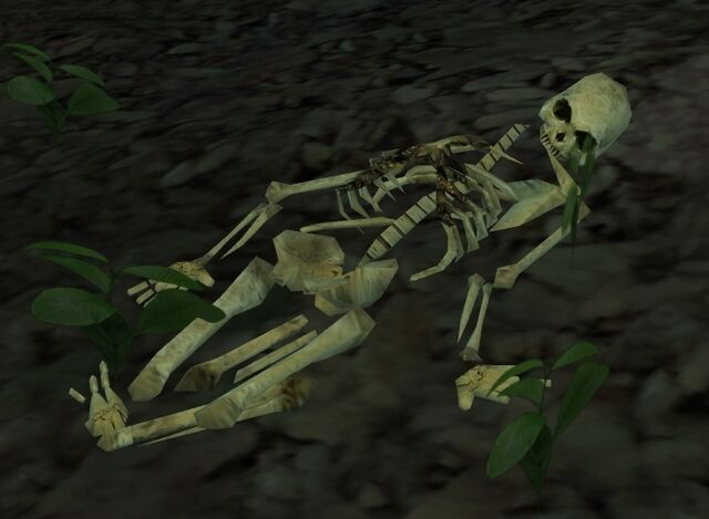 File:Jonna skeleton.jpg