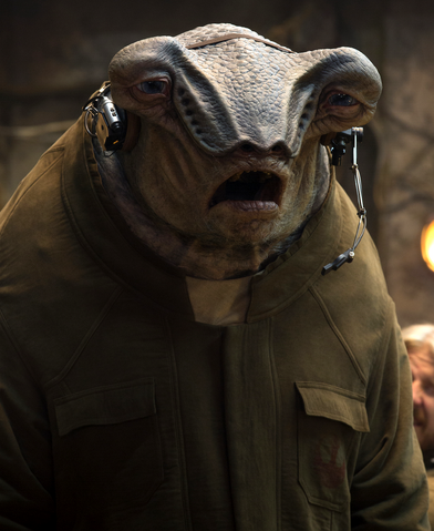 File:Bollie Prindel DB.png