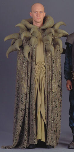 Nar Hida tall.jpg