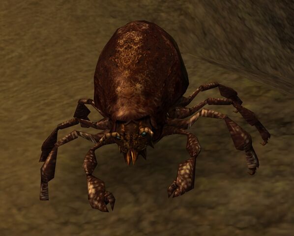 File:Rot mite.jpg