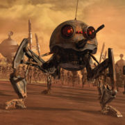 Dwarf Spider .jpg