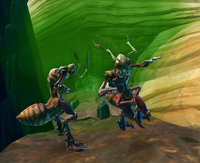 Insecticide