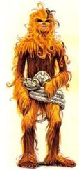 Lowbacca Em Teedee
