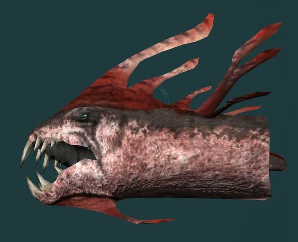 File:FinnedBlaggart-SWG.jpg