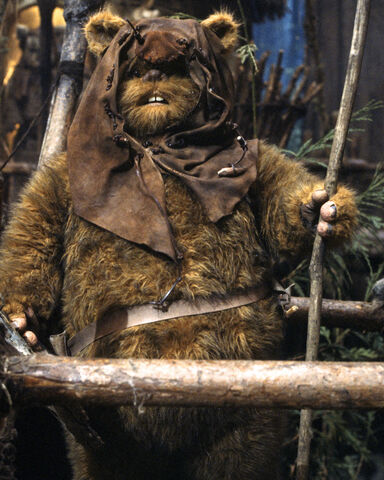 File:Romba the Ewok.jpg