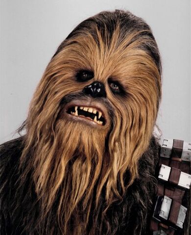 Fișier:Chewbaccaheadshot.jpg