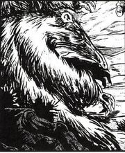 Karran-closeup