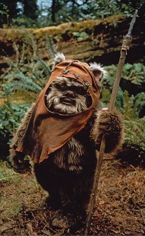 Fil:Ewoken Wicket.png