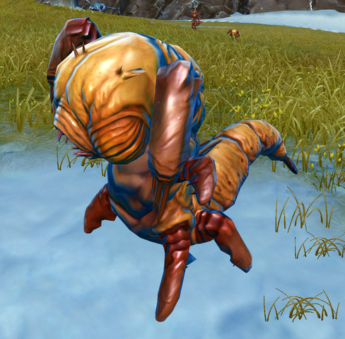 File:Killik larva.png