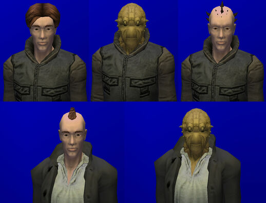 File:MercenaryWarlordTemplate.jpg