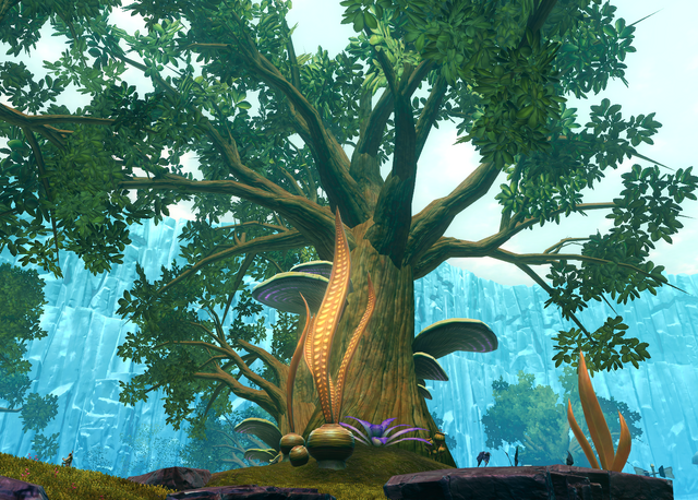 File:Aphor tree.png