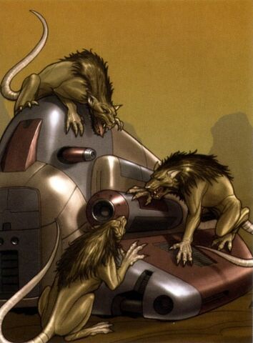 File:Womp rat AA.jpg