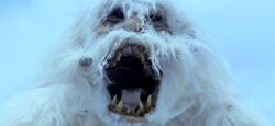 Wampa head.jpg