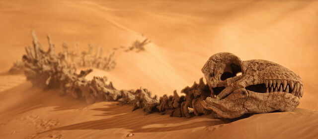 File:Krayt bones-Battlefront.jpg