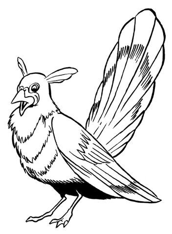 File:Bimmisaari tiga loreng.jpg
