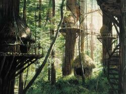 Ewok Village1.jpg