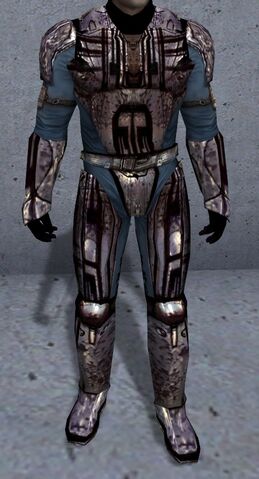 File:Felenar Armor.jpg