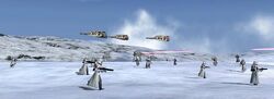 Snow.jpg