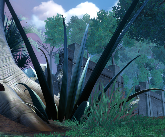 File:Octogave plant.png