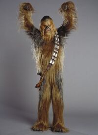 Chewie01234.jpg